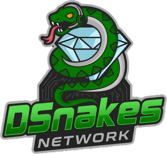 DSnakes Network